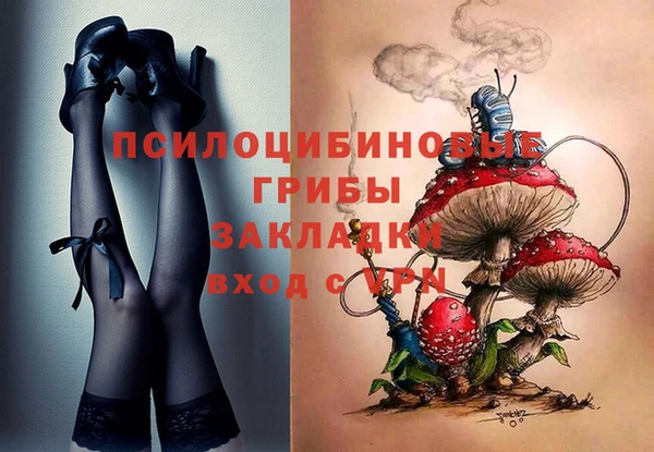 индика Магас