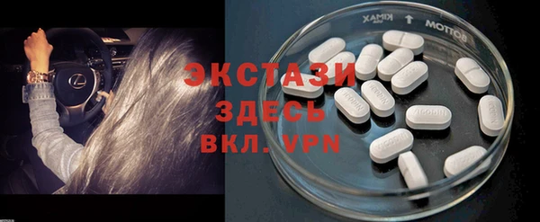 индика Магас