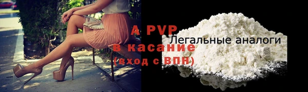 индика Магас