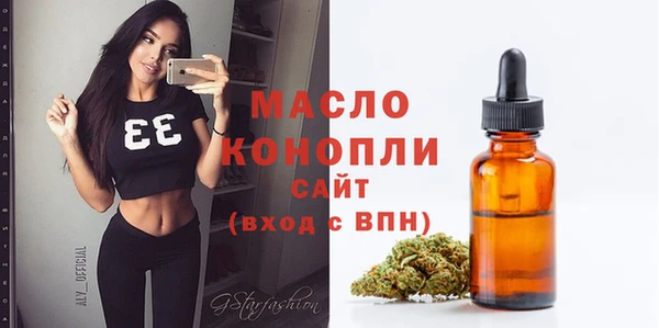 индика Магас