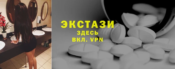 индика Магас