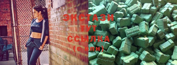 индика Магас