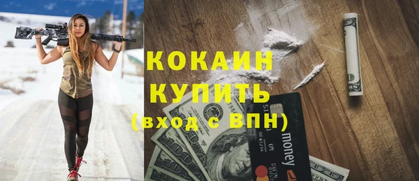 индика Магас