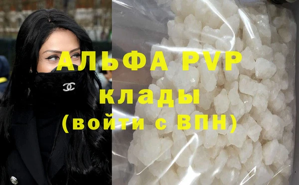 индика Магас