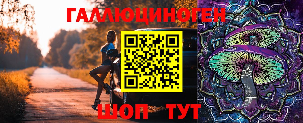 купить закладку  Вход с VPN  Малоярославец  Галлюциногенные грибы прущие грибы  Галлюциногенные грибы Psilocybine cubensis 