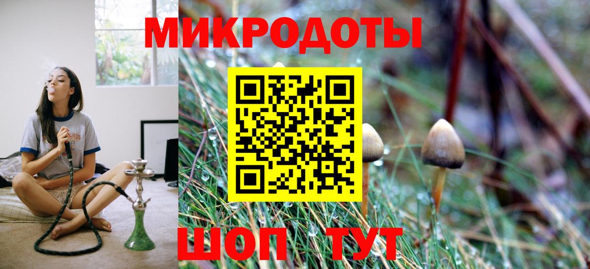 Псилоцибиновые грибы GOLDEN TEACHER Малоярославец