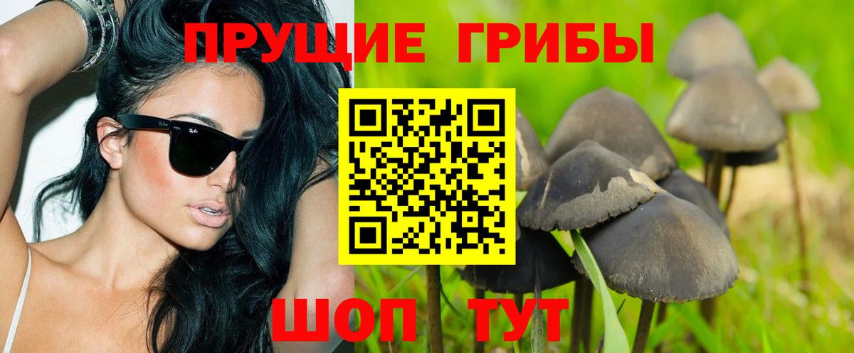 Галлюциногенные грибы Magic Shrooms Малоярославец